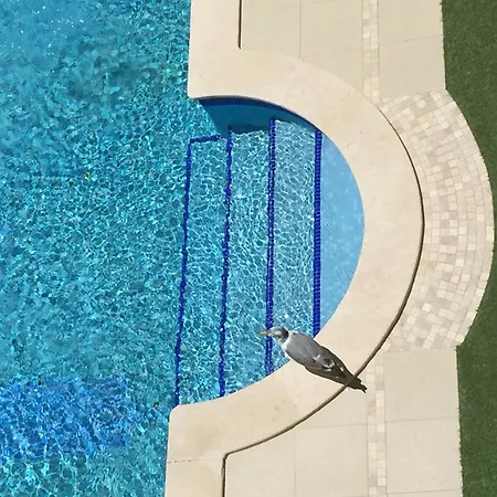 Διαμέρισμα 150m To The At Sol A Sul Αλμπουφέιρα